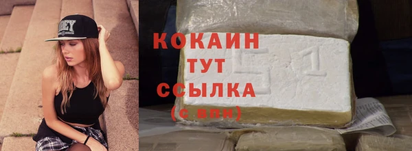 стаф Алзамай