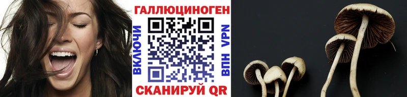 Псилоцибиновые грибы Psilocybine cubensis  Малоархангельск 